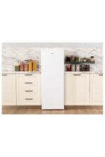 Regal CD 50001 Dikey Derin Dondurucu - Görsel 3